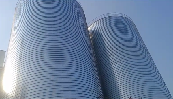 陇川2座混凝土高架卷板仓